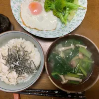 昼食　とろろちりめんじゃこご飯🍚|ATさん