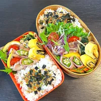 きょうのお弁当　息子と娘|hichanさん