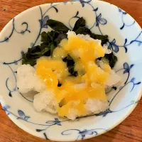 おばいけ|T. Wonderさん