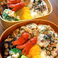 毎日弁当