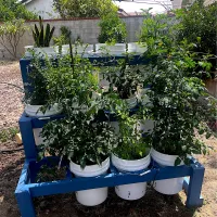 My new planter💚🪴|🌺IAnneさん