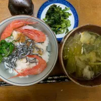 昼食　甘エビ入りジャコご飯|ATさん