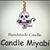 Candle Miyabi Masato